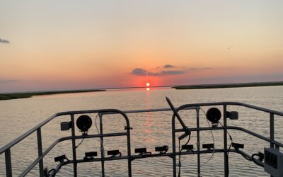 Flounder Adventures: Real Stories from Anglers Using LED Flounder Gigging Lights